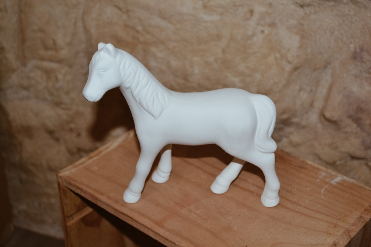 Mon petit poney