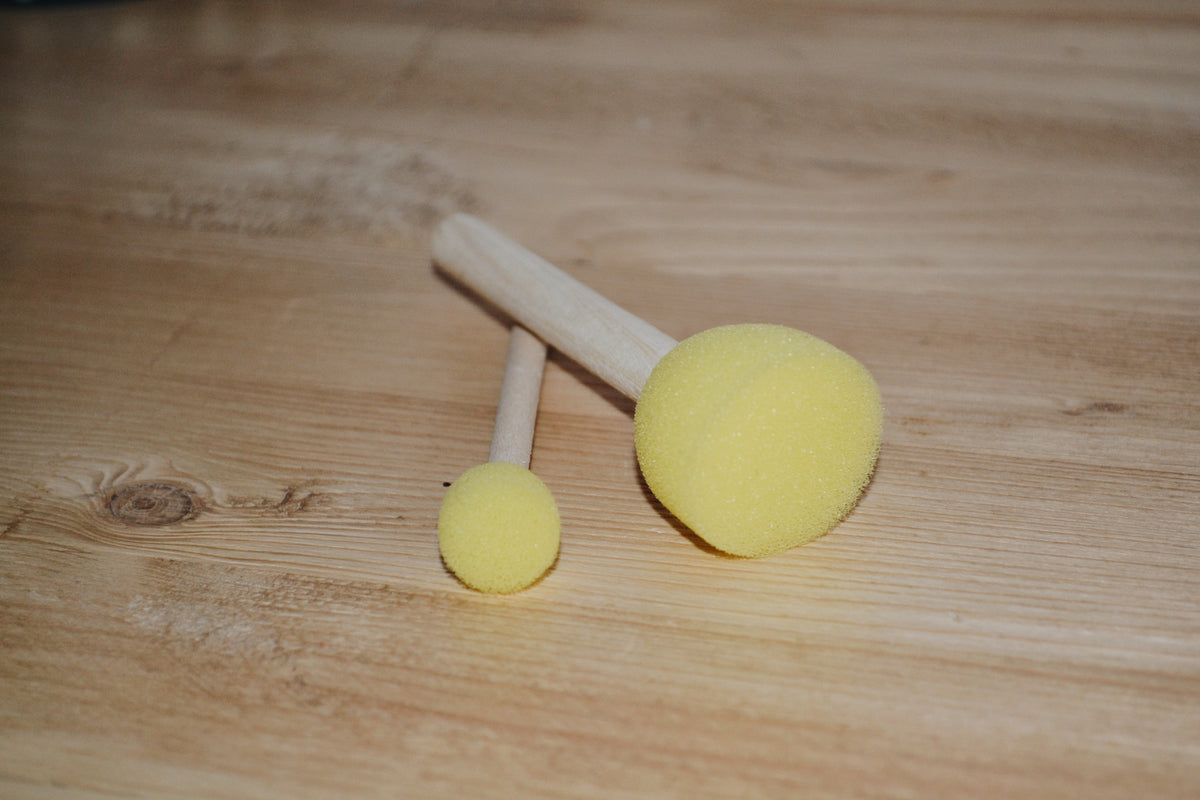Lot de 2 éponges tampons